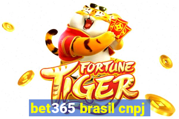 bet365 brasil cnpj